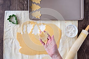 WomanÃ¢â¬â¢s hands cutting out Christmas tree sugar cookies, pastry cloth, cookie sheet